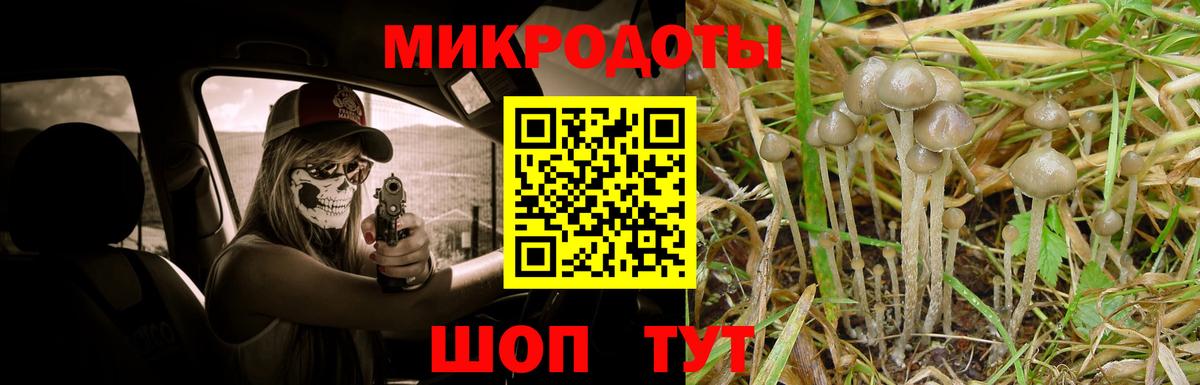 Галлюциногенные грибы мицелий Тимашёвск
