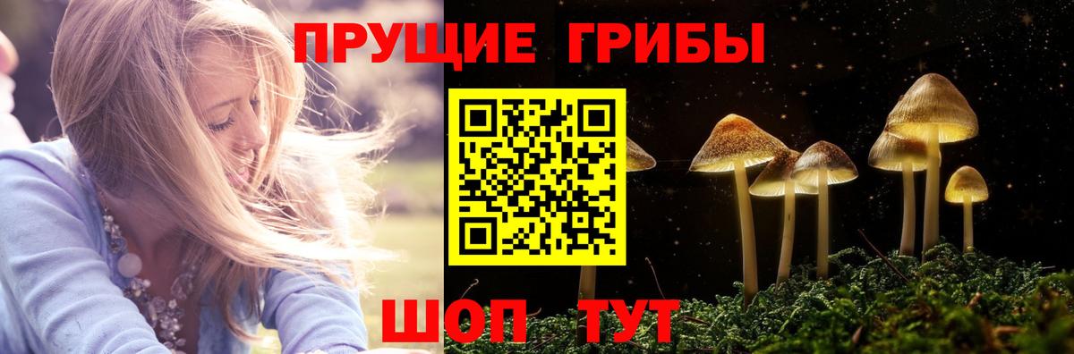 Псилоцибиновые грибы GOLDEN TEACHER  Вход с VPN  Тимашёвск 